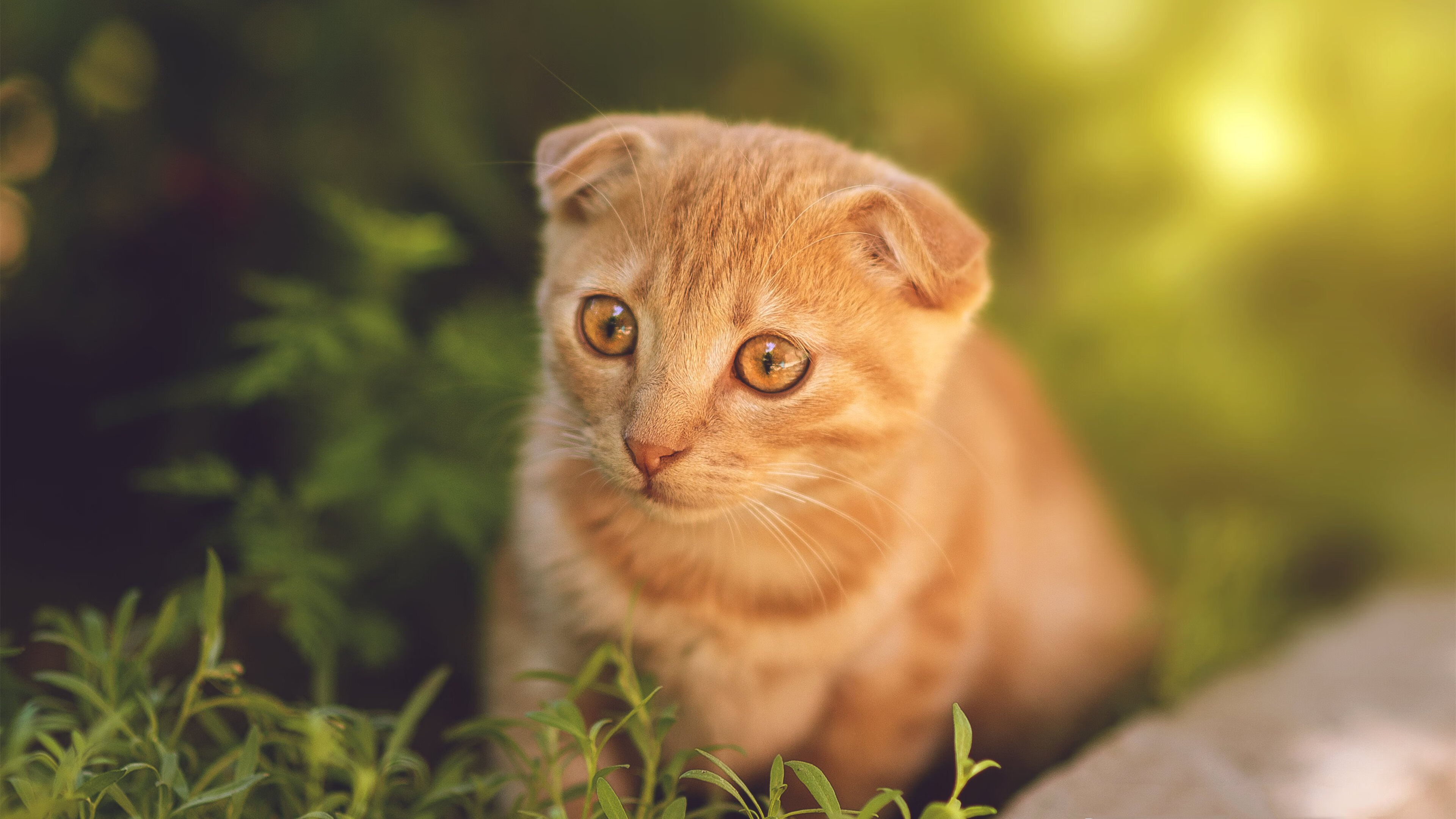 九游娱乐官方-“英超劲旅迎来关键战役，冲击榜首再奋勇”，英超劲旅有哪些